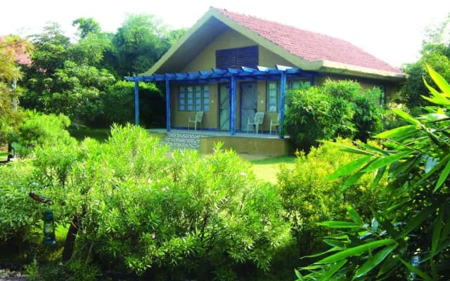 The Celebration Van Vilas