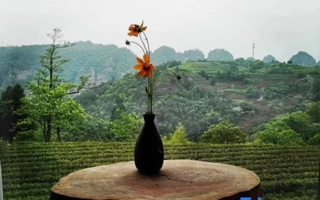 Youfang Tianyuan