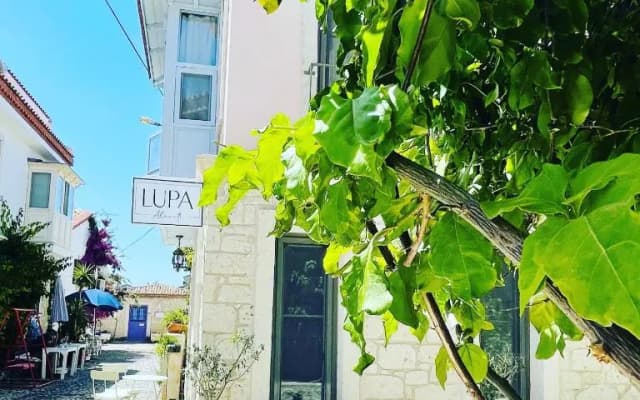 Lupa Alacati