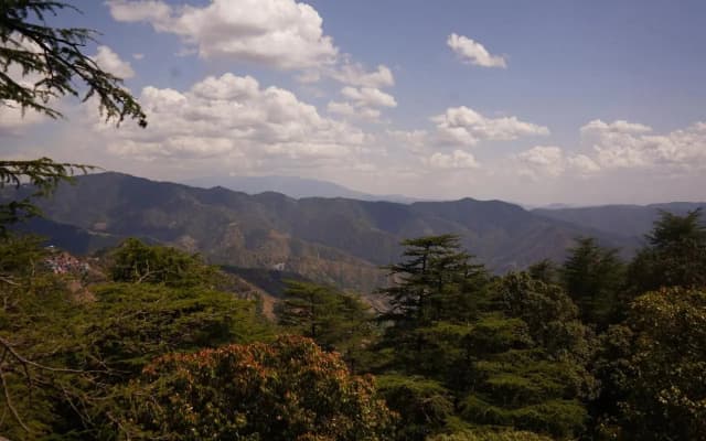 Jakhu Vibes | Valley-View Rooms