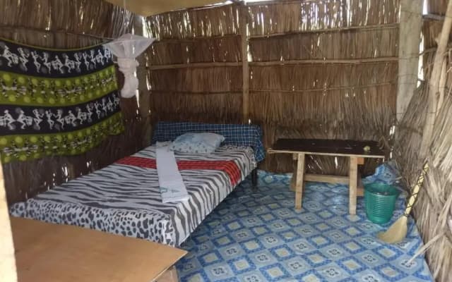 Mida Creek Nature Camp
