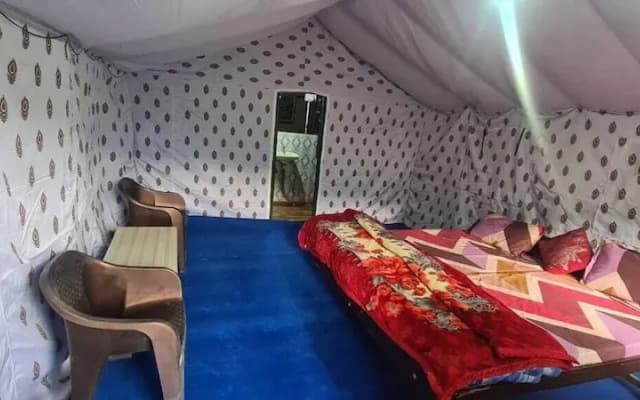 Camp Exotica