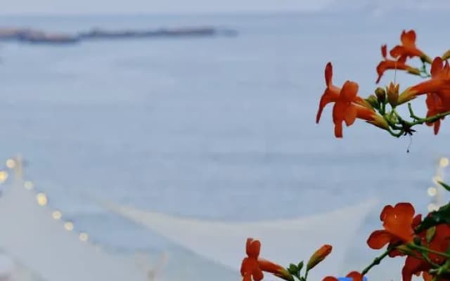 Bole Mihai Homstay (Shengsi Flower and Bird Island Branch)