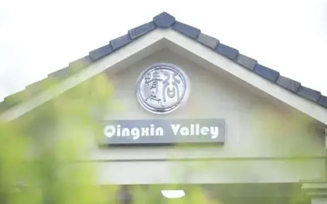 Qingxingul(Anji Yunshang Grassland Store)