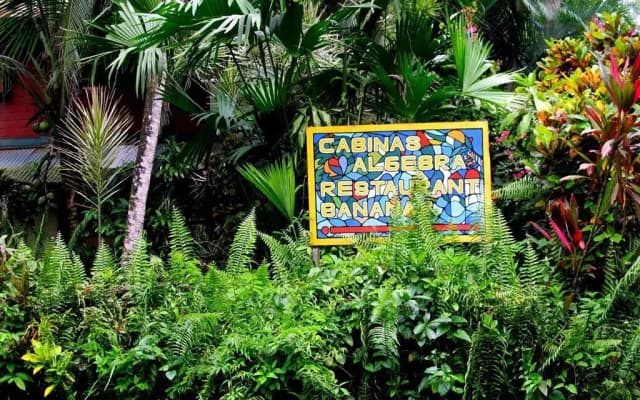 Cabinas Algebra