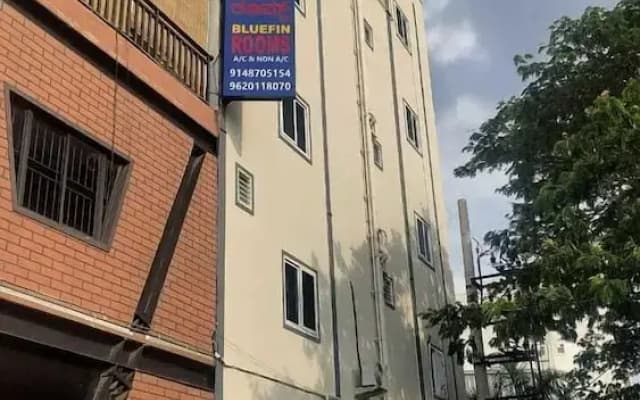 Bluefin Rooms
