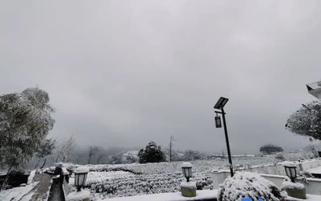 Xinchang Daxu Xiaoruo Homestay