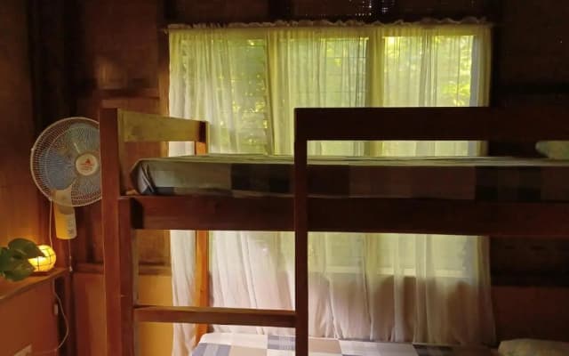 Lazy Lizard Hostel