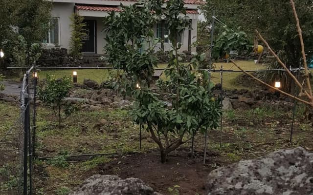Supgol Pension