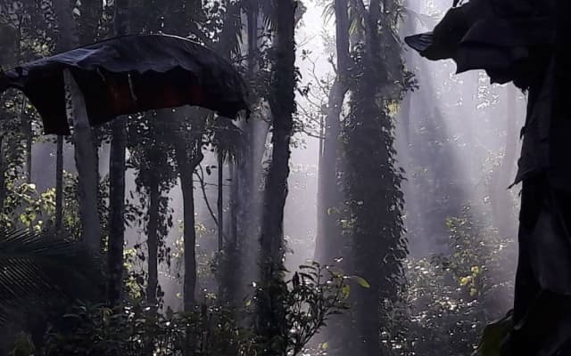Wayanad Stay .The Pepper Suite