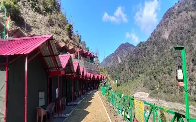 Stay In By Bull Adventure 0047