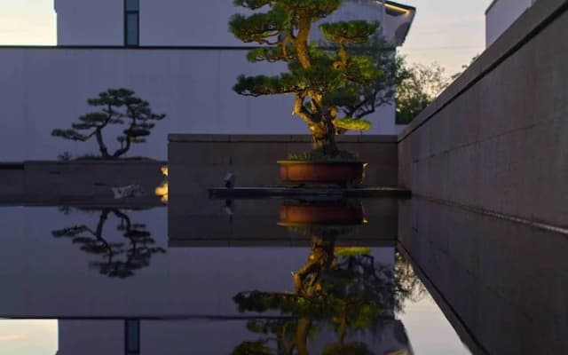 Pokkei Hotel Shaoxing