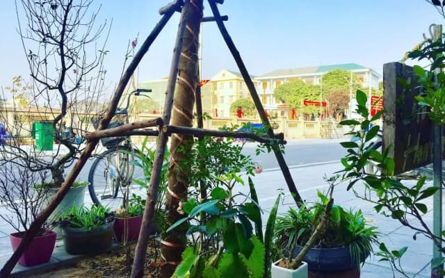 CoTo Family Homestay