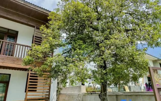 Qixin Valley Homestay