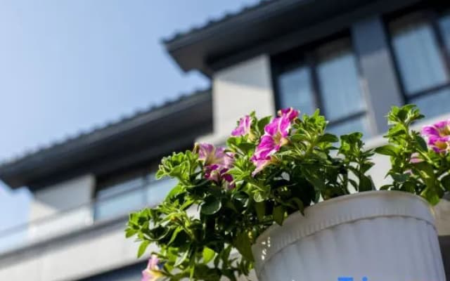 Zhujiajian Tongyutang·Slow Life Seaview Homestay (Dongsha Xiaowu Shitang Branch)