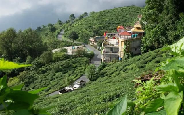 Traditional Hotel And Restaurant