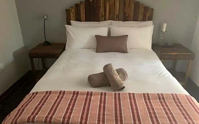 Cycad Stay
