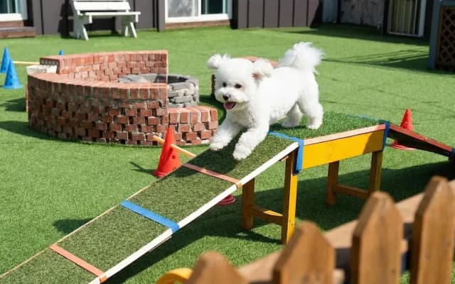 Gapyeong Two Dog Place Pension