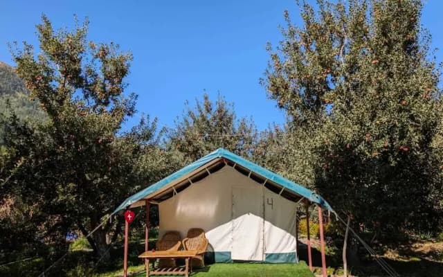Apple Orchard Farm and Camping