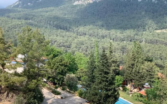 Trinitys Forest Bungalows