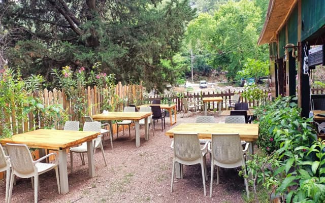 Canario Bungalows