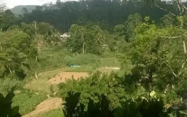 Ella Breeze Homestay