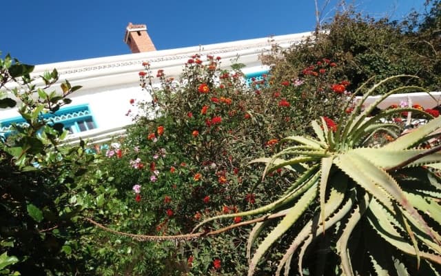 Riad Tamayourt Ocean View