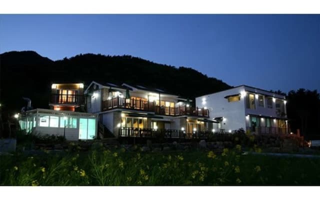 Pygmalion pension