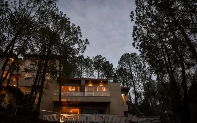 Jungle Lodge Resort