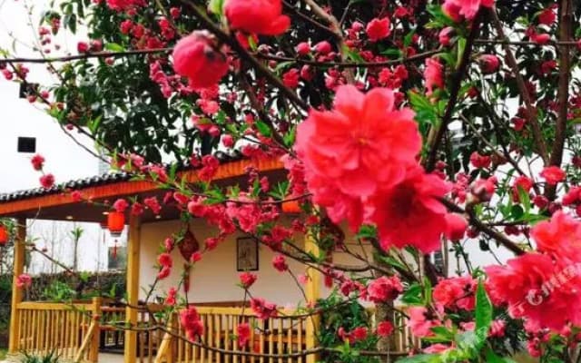 Yangshuo Xiangui Manor (Yulong River Scenic Area)