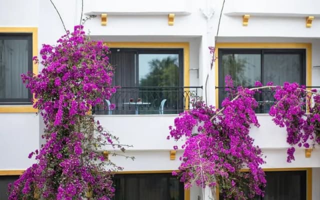 Payam Hotel