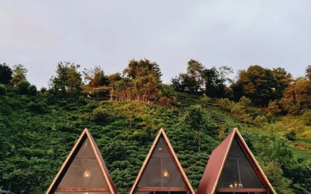 Mapavri Suit Bungalov