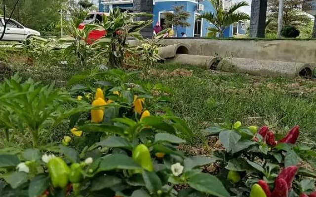 Rumah Tepi Sungai KB