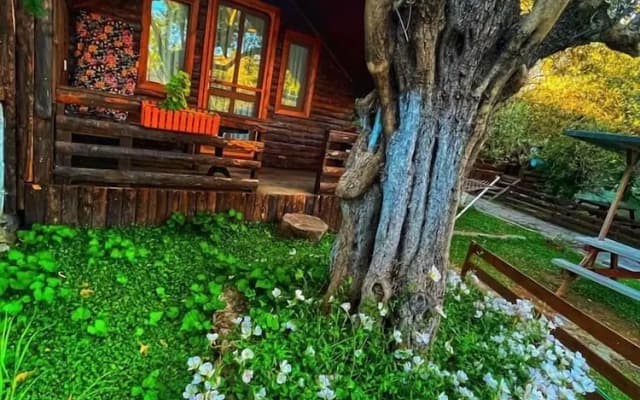 ZeytinDagi Bungalow Butik Otel