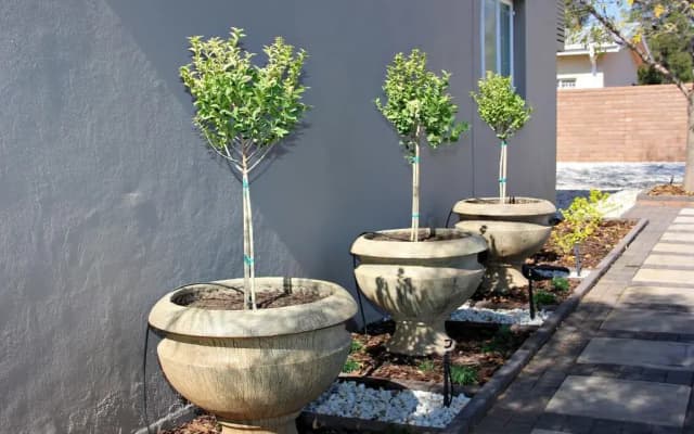 Green Kalahari Guesthouse