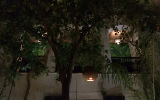 Riad Tibibt
