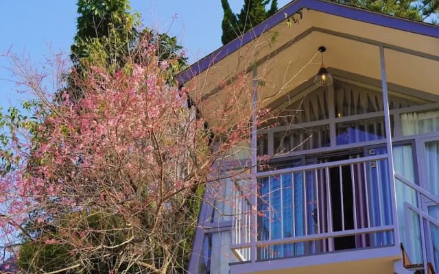 DD Hospitality - May Bach Da Lat