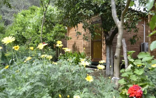 Olympos Mercan Bungalow