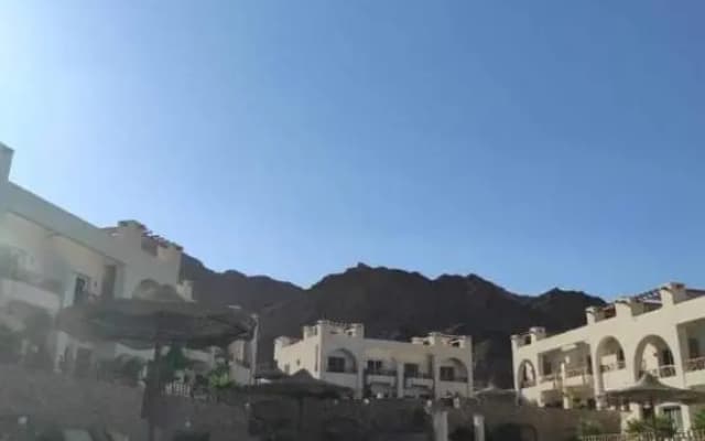 Sunny dahab