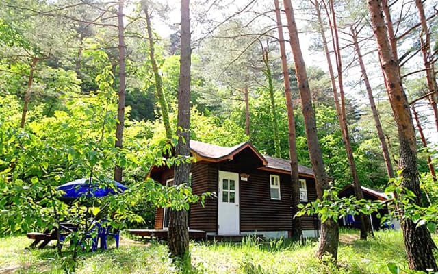 Yangyang Forest Home Pension