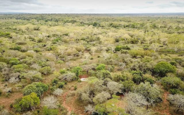 Zululand Lodge