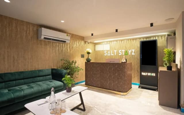 Saltstayz Premier Naraina Central Delhi