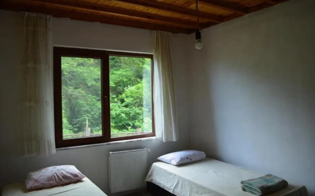 Trabzon green valley villa