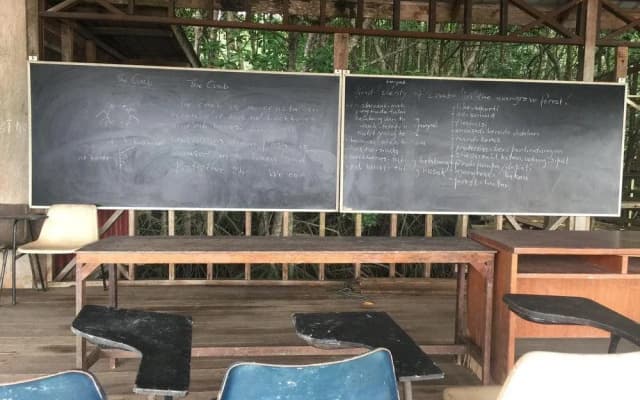 Bakau Hijau Riverlodge