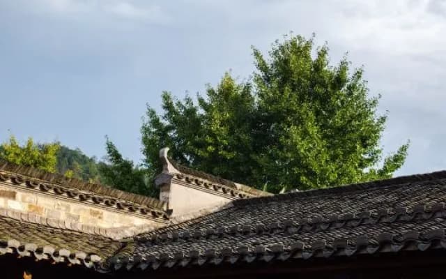Liuzhu Dongyuan Boutique Hostel