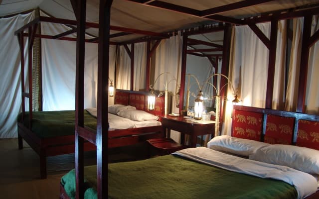 Fig Tree Camp