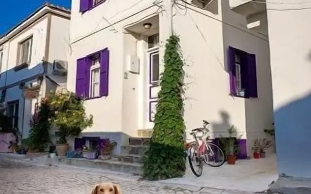Amaranda Ada Evi - Adults Only
