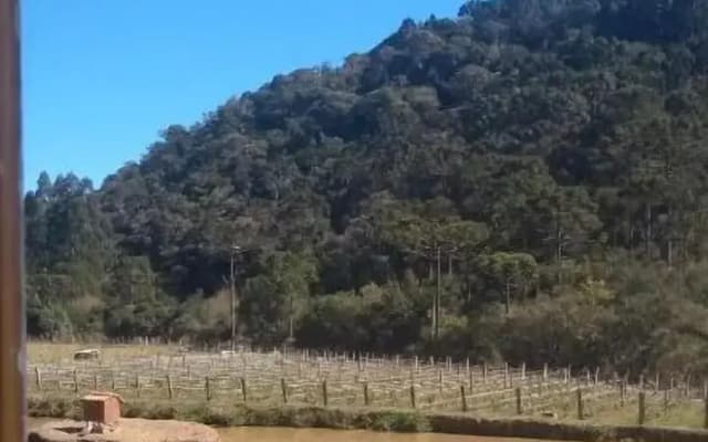 Pousada Nó de Pinho Urubici