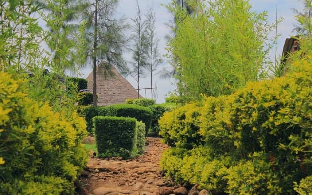 Nguge Hills Lodge & Wellness Retreat