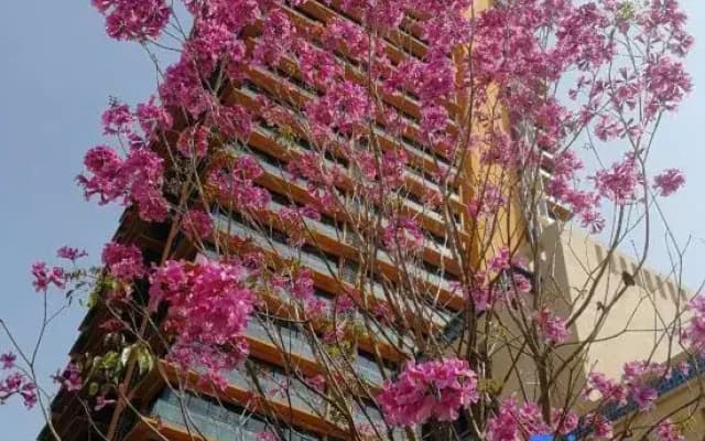 Huizhou Huidong Shuangyuewan Pig Dac Villa Foreign Room Seaside B&B (Vanke Phase 2)